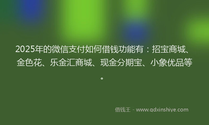 2025年的微信支付如何借钱功能有：招宝商城、金色花、乐金汇商城、现金分期宝、小象优品等。