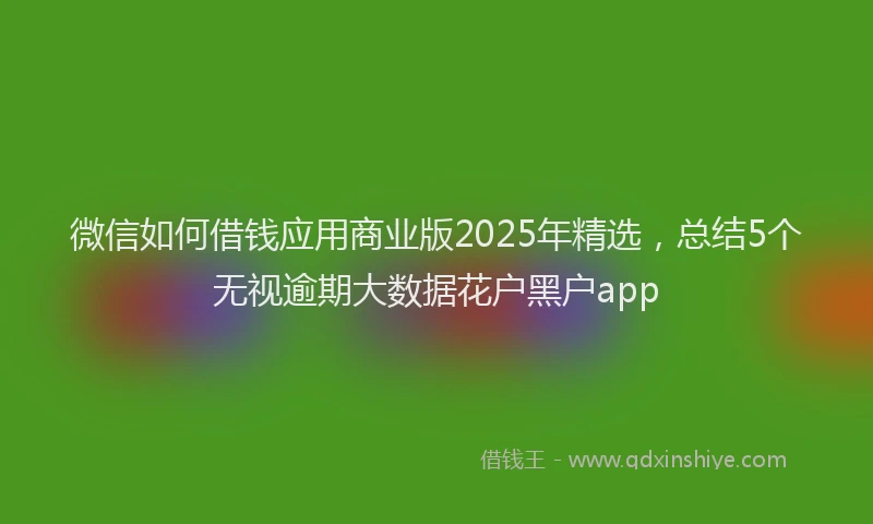 微信如何借钱应用商业版2025年精选，总结5个无视逾期大数据花户黑户app