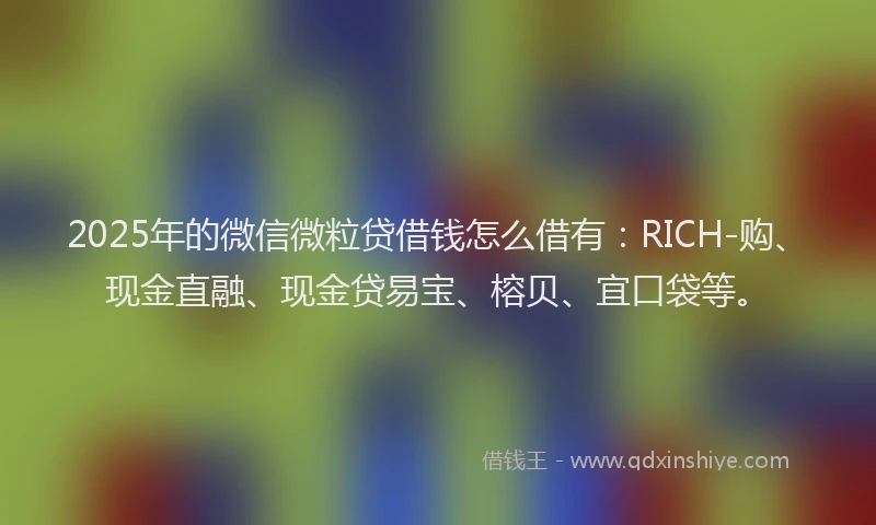 2025年的微信微粒贷借钱怎么借有：RICH-购、现金直融、现金贷易宝、榕贝、宜口袋等。