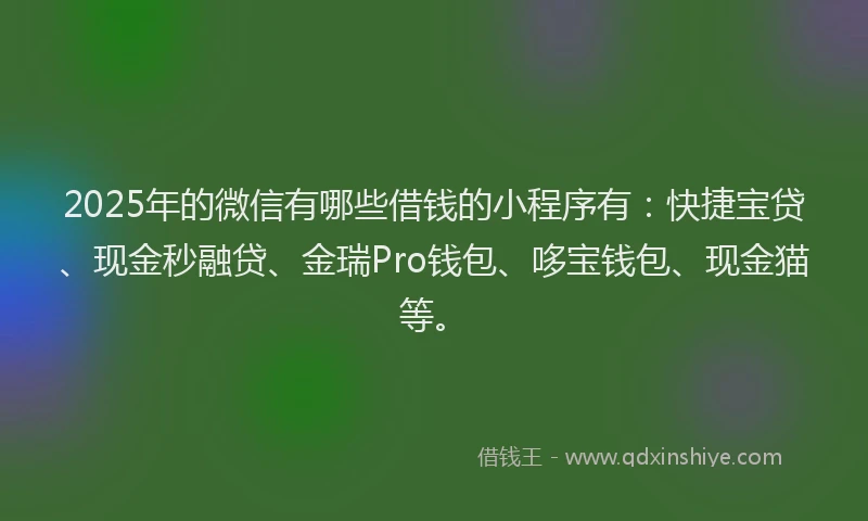 2025年的微信有哪些借钱的小程序有：快捷宝贷、现金秒融贷、金瑞Pro钱包、哆宝钱包、现金猫等。