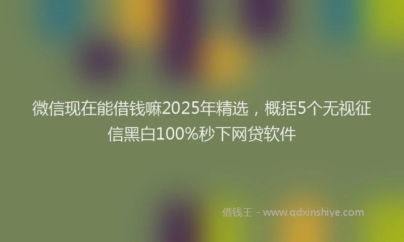 微信现在能借钱嘛2025年精选，概括5个无视征信黑白100%秒下网贷软件