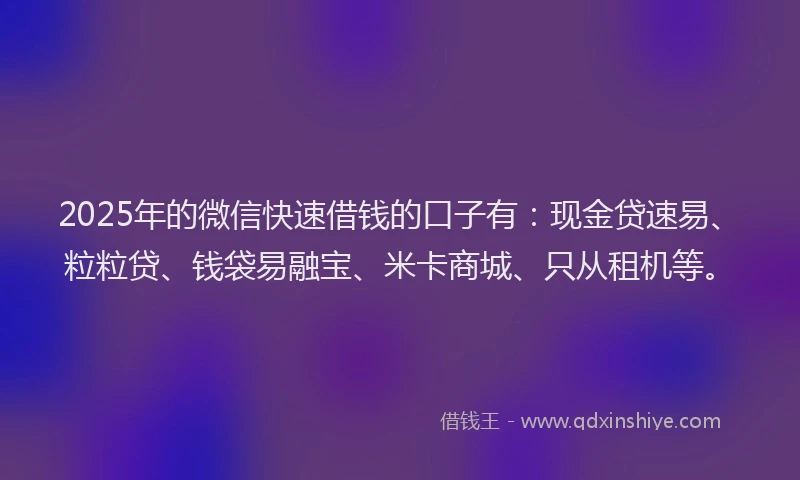 2025年的微信快速借钱的口子有：现金贷速易、粒粒贷、钱袋易融宝、米卡商城、只从租机等。