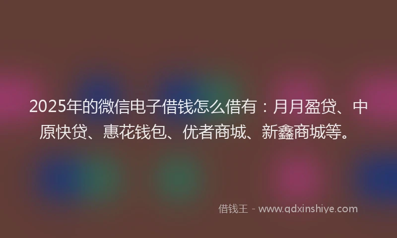 2025年的微信电子借钱怎么借有：月月盈贷、中原快贷、惠花钱包、优者商城、新鑫商城等。