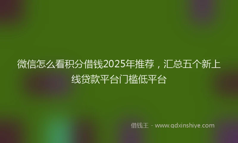 微信怎么看积分借钱2025年推荐，汇总五个新上线贷款平台门槛低平台