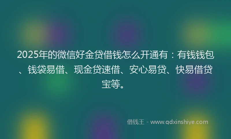 2025年的微信好金贷借钱怎么开通有：有钱钱包、钱袋易借、现金贷速借、安心易贷、快易借贷宝等。