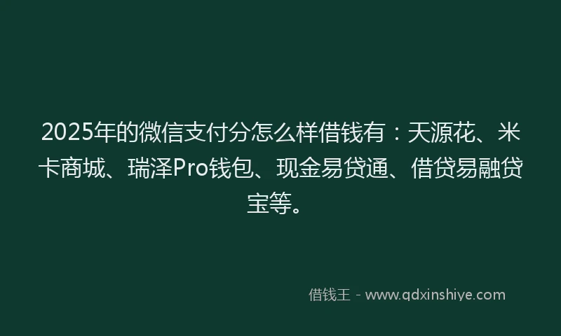 2025年的微信支付分怎么样借钱有：天源花、米卡商城、瑞泽Pro钱包、现金易贷通、借贷易融贷宝等。