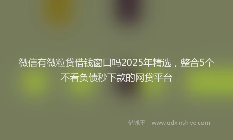 微信有微粒贷借钱窗口吗2025年精选，整合5个不看负债秒下款的网贷平台