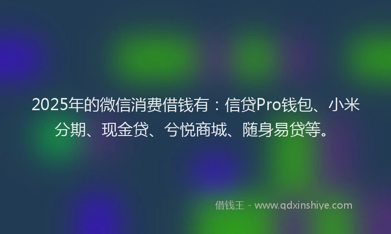 2025年的微信消费借钱有：信贷Pro钱包、小米分期、现金贷、兮悦商城、随身易贷等。