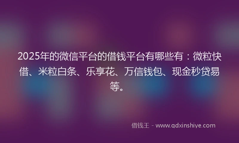 2025年的微信平台的借钱平台有哪些有：微粒快借、米粒白条、乐享花、万信钱包、现金秒贷易等。