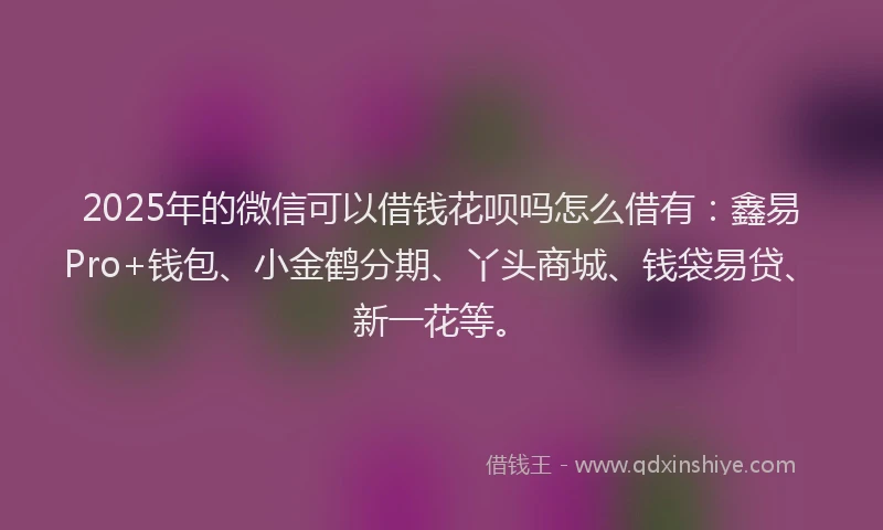 2025年的微信可以借钱花呗吗怎么借有：鑫易Pro+钱包、小金鹤分期、丫头商城、钱袋易贷、新一花等。