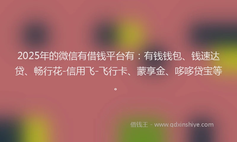 2025年的微信有借钱平台有：有钱钱包、钱速达贷、畅行花-信用飞-飞行卡、蒙享金、哆哆贷宝等。