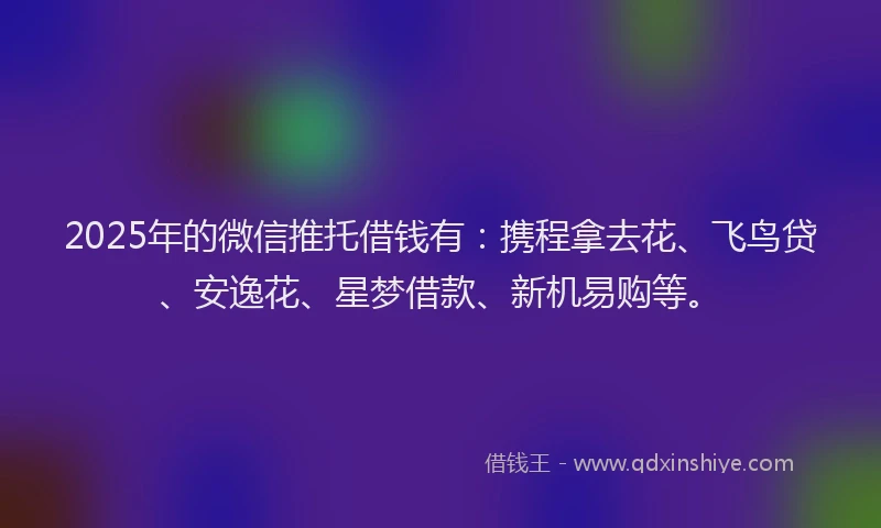 2025年的微信推托借钱有：携程拿去花、飞鸟贷、安逸花、星梦借款、新机易购等。