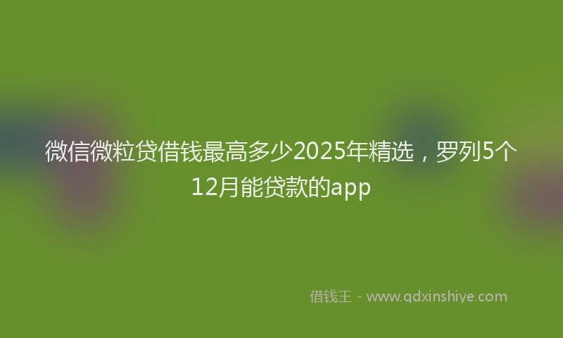 微信微粒贷借钱最高多少2025年精选，罗列5个12月能贷款的app