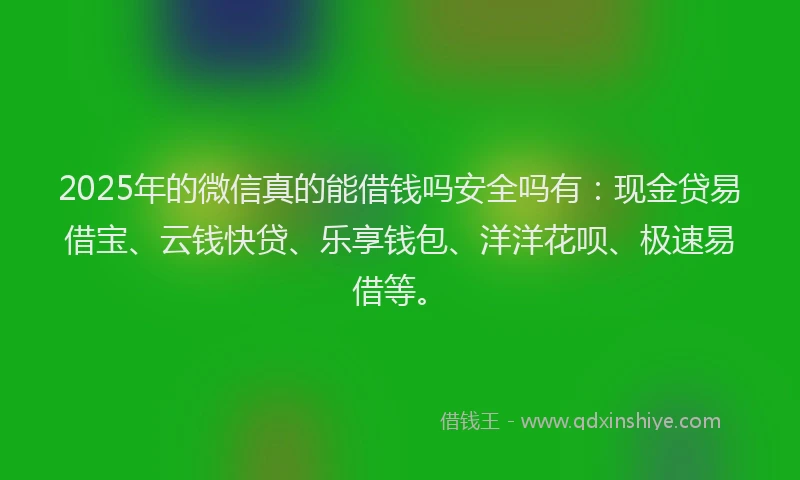 2025年的微信真的能借钱吗安全吗有：现金贷易借宝、云钱快贷、乐享钱包、洋洋花呗、极速易借等。