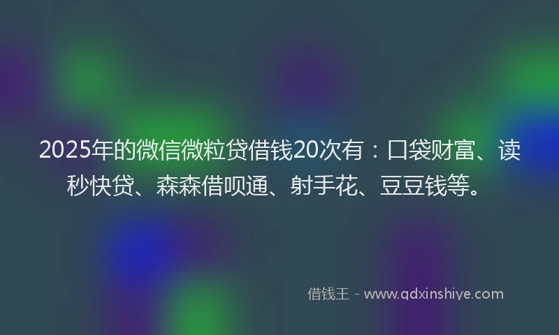 2025年的微信微粒贷借钱20次有：口袋财富、读秒快贷、森森借呗通、射手花、豆豆钱等。