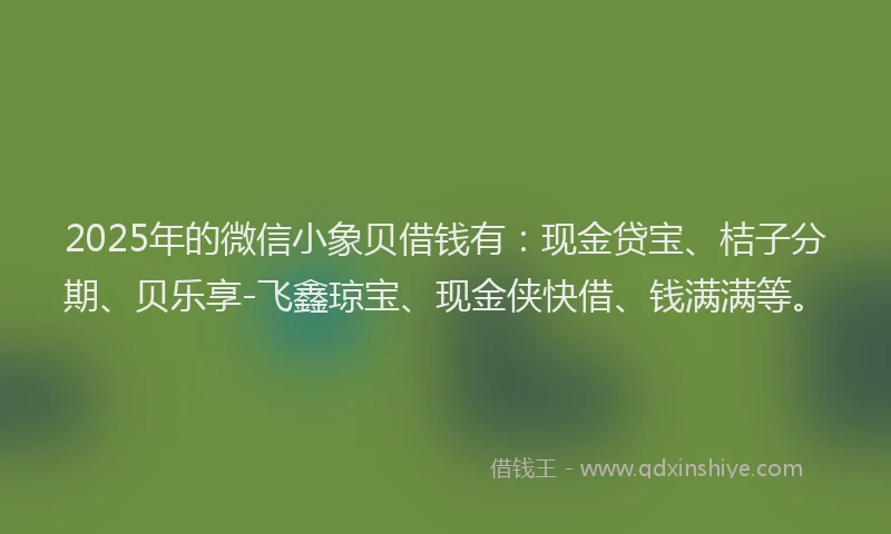 2025年的微信小象贝借钱有：现金贷宝、桔子分期、贝乐享-飞鑫琼宝、现金侠快借、钱满满等。