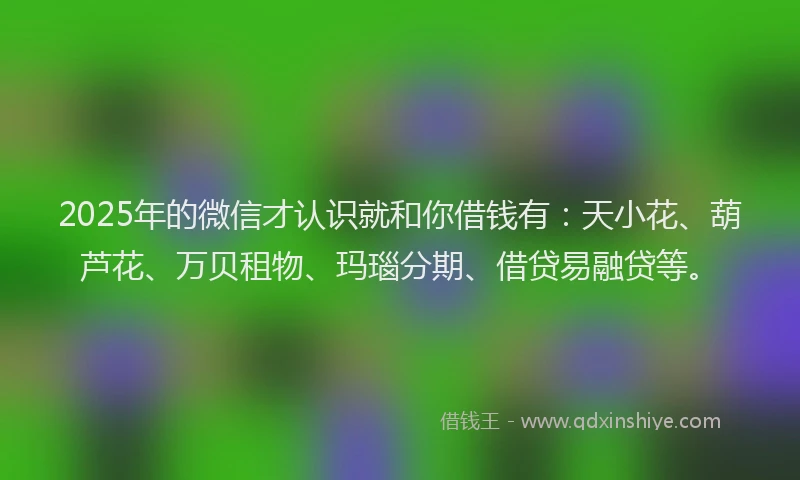 2025年的微信才认识就和你借钱有：天小花、葫芦花、万贝租物、玛瑙分期、借贷易融贷等。