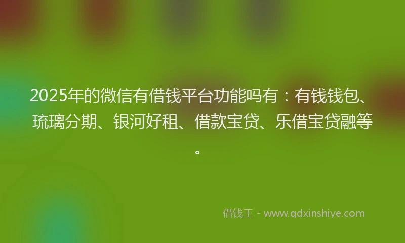 2025年的微信有借钱平台功能吗有：有钱钱包、琉璃分期、银河好租、借款宝贷、乐借宝贷融等。