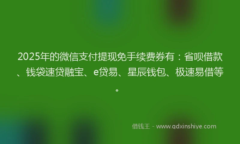 2025年的微信支付提现免手续费券有：省呗借款、钱袋速贷融宝、e贷易、星辰钱包、极速易借等。