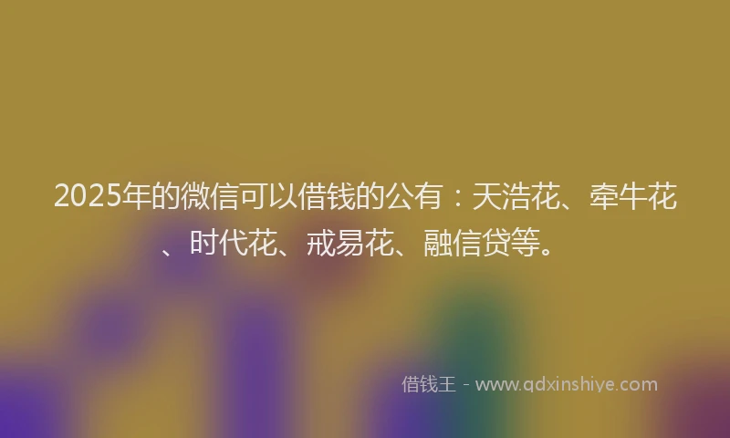 2025年的微信可以借钱的公有：天浩花、牵牛花、时代花、戒易花、融信贷等。