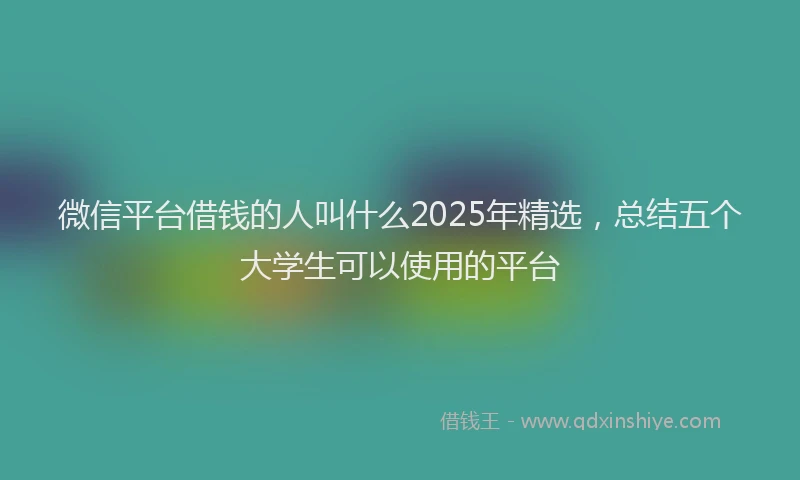 微信平台借钱的人叫什么2025年精选，总结五个大学生可以使用的平台