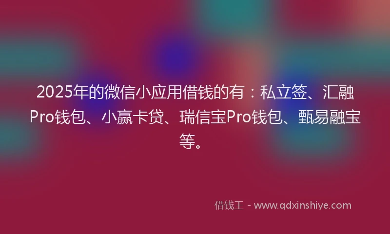 2025年的微信小应用借钱的有：私立签、汇融Pro钱包、小赢卡贷、瑞信宝Pro钱包、甄易融宝等。