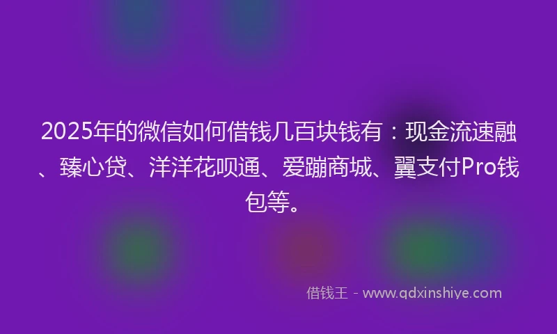 2025年的微信如何借钱几百块钱有：现金流速融、臻心贷、洋洋花呗通、爱蹦商城、翼支付Pro钱包等。