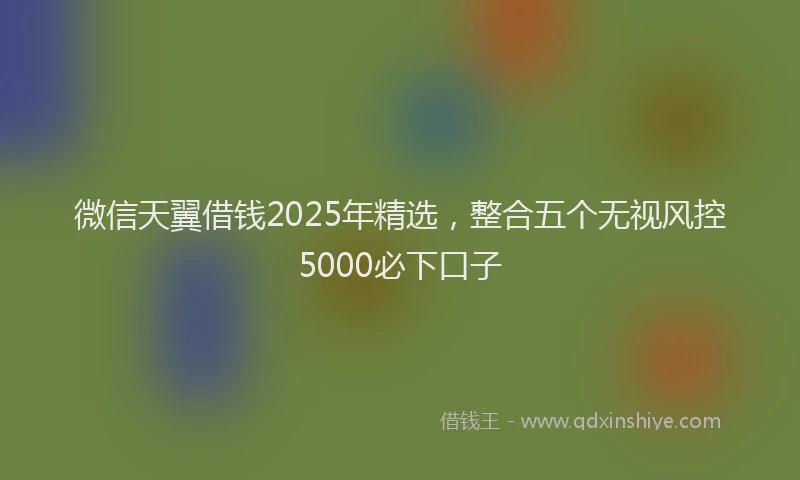 微信天翼借钱2025年精选，整合五个无视风控5000必下口子