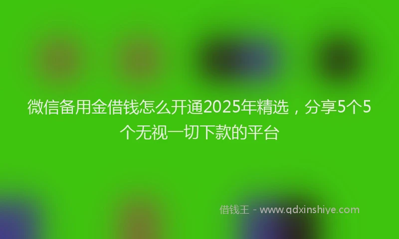微信备用金借钱怎么开通2025年精选，分享5个5个无视一切下款的平台
