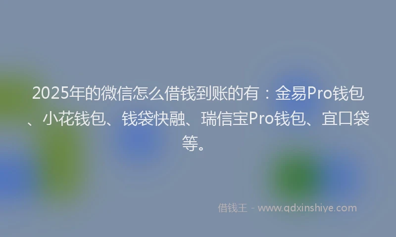 2025年的微信怎么借钱到账的有：金易Pro钱包、小花钱包、钱袋快融、瑞信宝Pro钱包、宜口袋等。