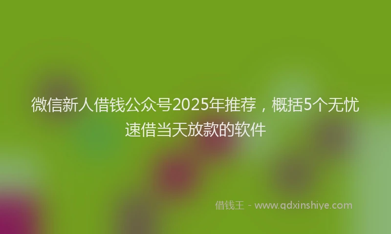 微信新人借钱公众号2025年推荐，概括5个无忧速借当天放款的软件