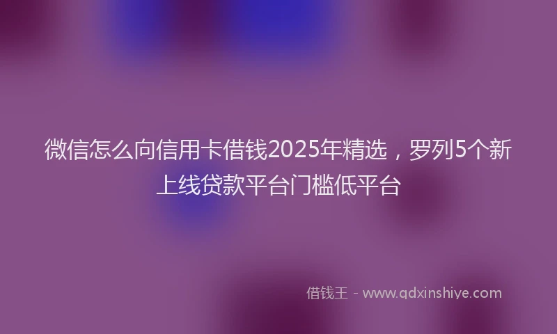 微信怎么向信用卡借钱2025年精选，罗列5个新上线贷款平台门槛低平台