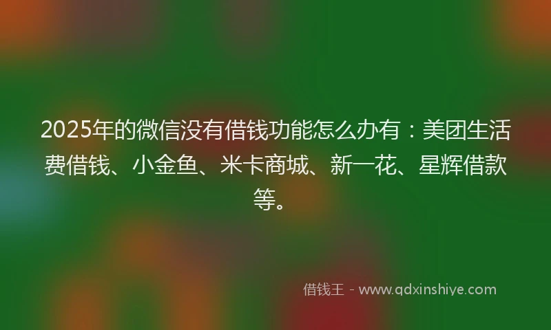 2025年的微信没有借钱功能怎么办有：美团生活费借钱、小金鱼、米卡商城、新一花、星辉借款等。