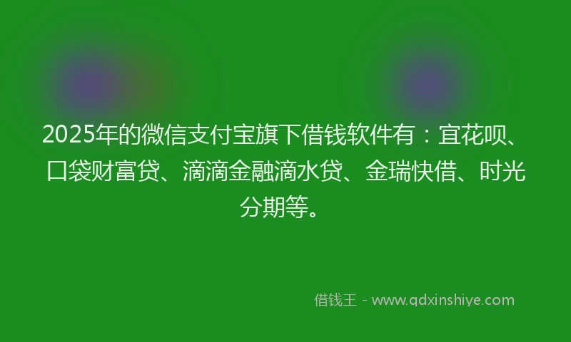 2025年的微信支付宝旗下借钱软件有：宜花呗、口袋财富贷、滴滴金融滴水贷、金瑞快借、时光分期等。