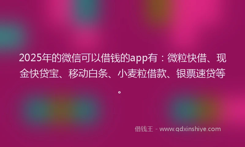 2025年的微信可以借钱的app有：微粒快借、现金快贷宝、移动白条、小麦粒借款、银票速贷等。