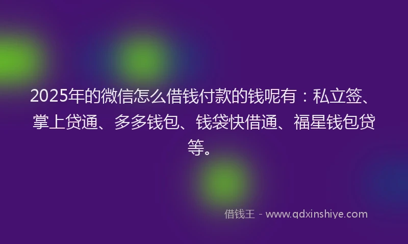 2025年的微信怎么借钱付款的钱呢有：私立签、掌上贷通、多多钱包、钱袋快借通、福星钱包贷等。