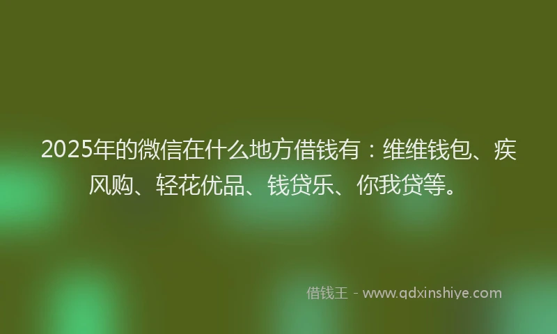 2025年的微信在什么地方借钱有：维维钱包、疾风购、轻花优品、钱贷乐、你我贷等。
