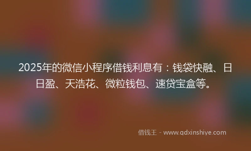 2025年的微信小程序借钱利息有：钱袋快融、日日盈、天浩花、微粒钱包、速贷宝盒等。