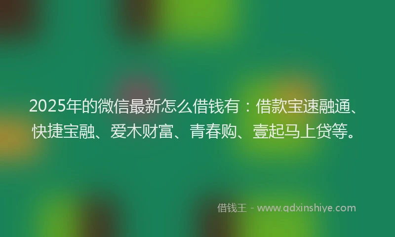 2025年的微信最新怎么借钱有：借款宝速融通、快捷宝融、爱木财富、青春购、壹起马上贷等。