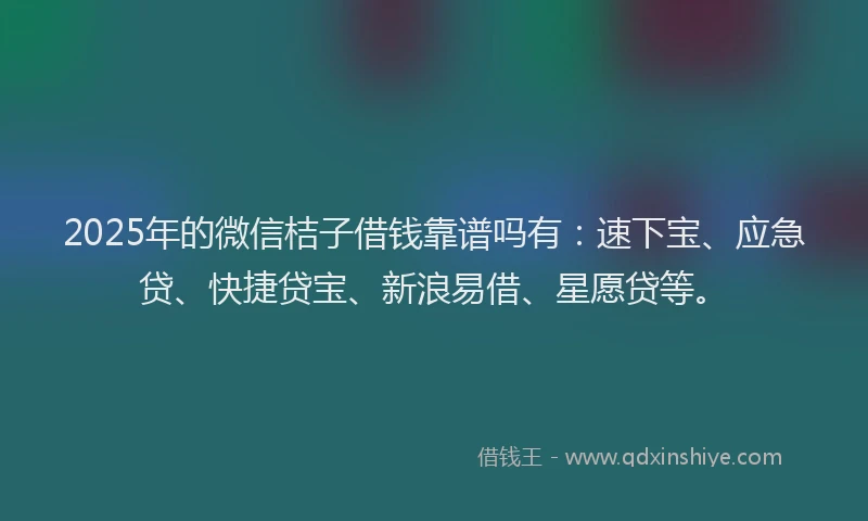 2025年的微信桔子借钱靠谱吗有：速下宝、应急贷、快捷贷宝、新浪易借、星愿贷等。