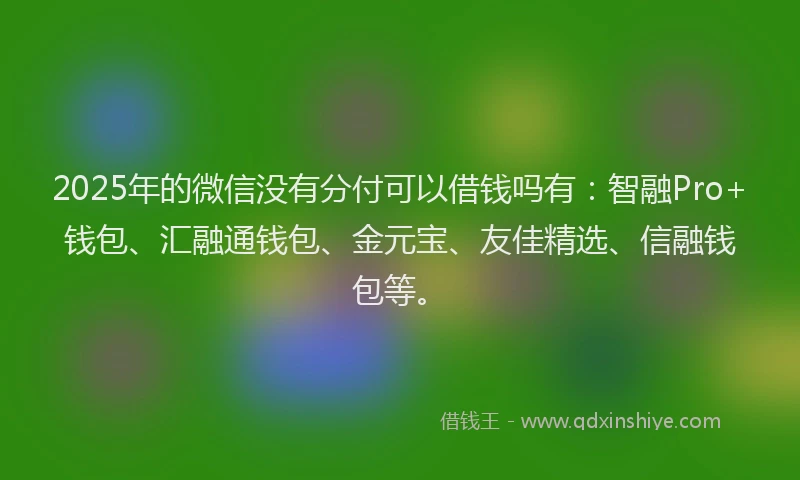 2025年的微信没有分付可以借钱吗有：智融Pro+钱包、汇融通钱包、金元宝、友佳精选、信融钱包等。