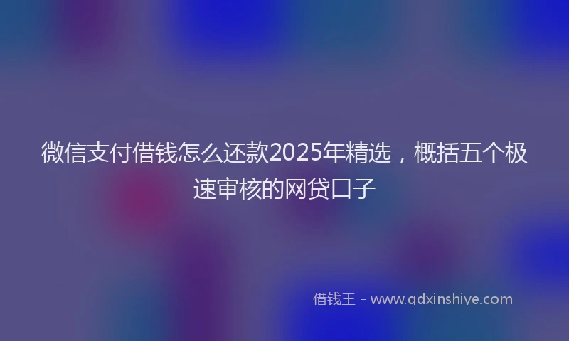 微信支付借钱怎么还款2025年精选，概括五个极速审核的网贷口子