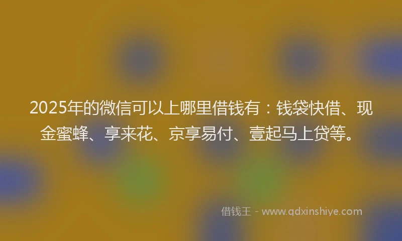 2025年的微信可以上哪里借钱有：钱袋快借、现金蜜蜂、享来花、京享易付、壹起马上贷等。