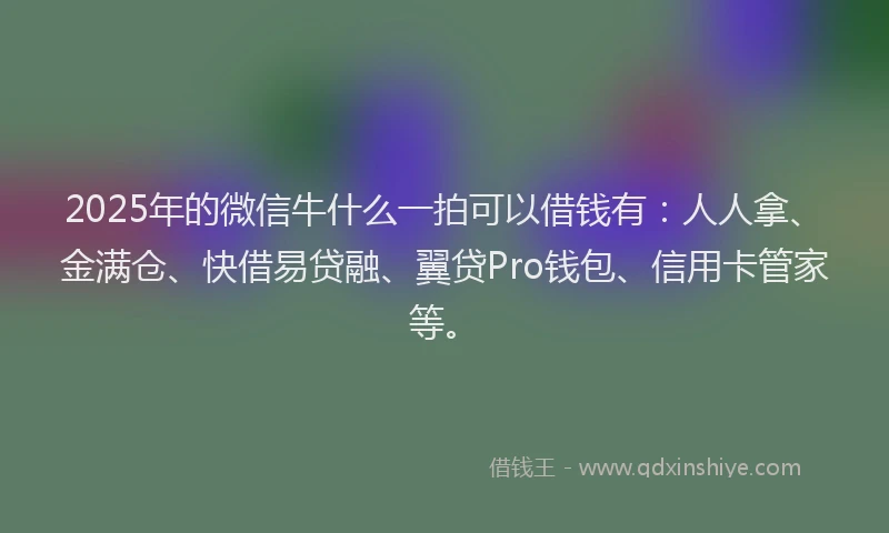 2025年的微信牛什么一拍可以借钱有：人人拿、金满仓、快借易贷融、翼贷Pro钱包、信用卡管家等。