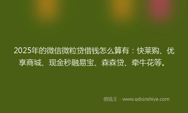 2025年的微信微粒贷借钱怎么算有：快莱购、优享商城、现金秒融易宝、森森贷、牵牛花等。