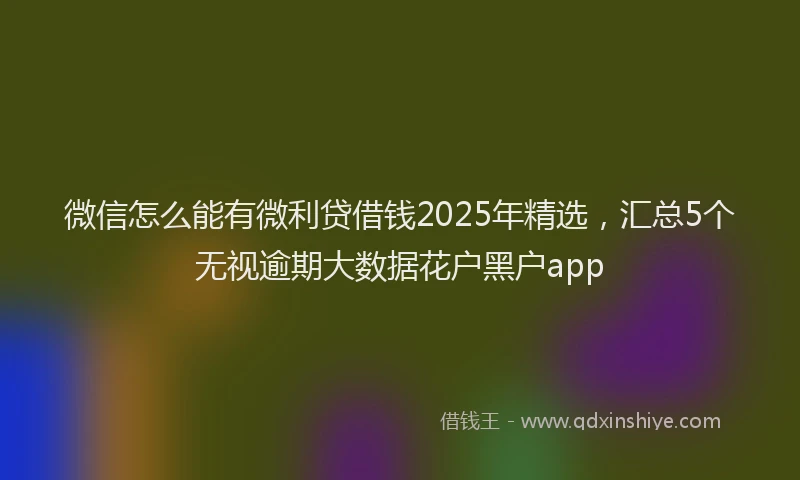 微信怎么能有微利贷借钱2025年精选，汇总5个无视逾期大数据花户黑户app