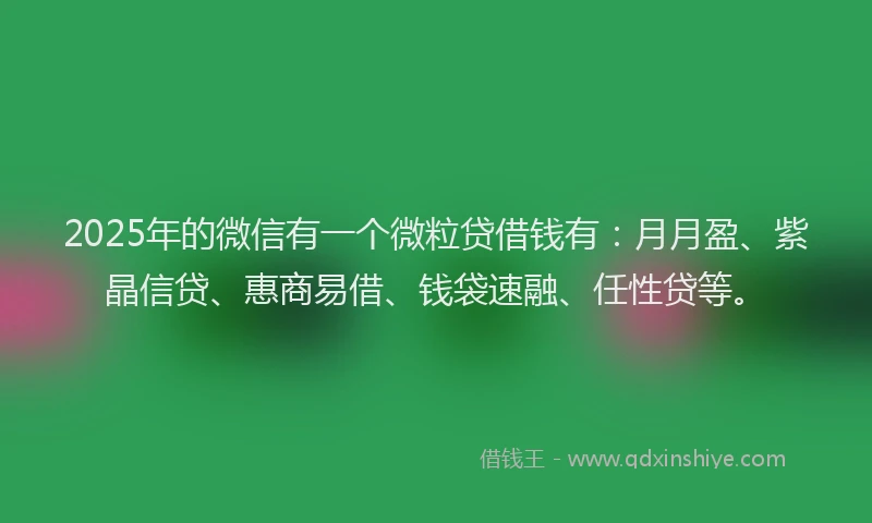2025年的微信有一个微粒贷借钱有：月月盈、紫晶信贷、惠商易借、钱袋速融、任性贷等。
