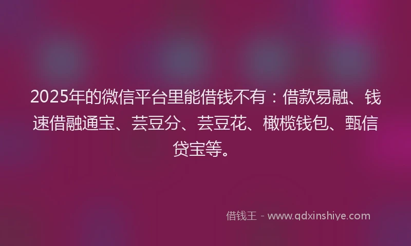 2025年的微信平台里能借钱不有：借款易融、钱速借融通宝、芸豆分、芸豆花、橄榄钱包、甄信贷宝等。
