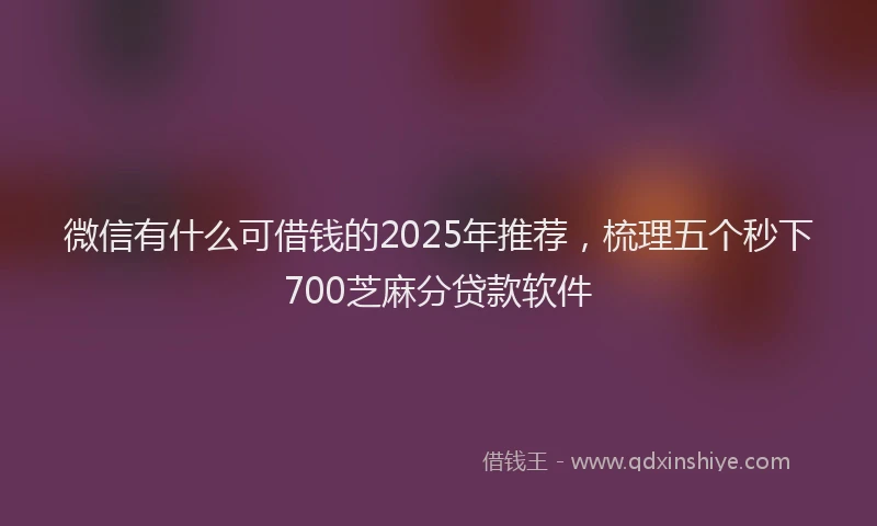 微信有什么可借钱的2025年推荐，梳理五个秒下700芝麻分贷款软件