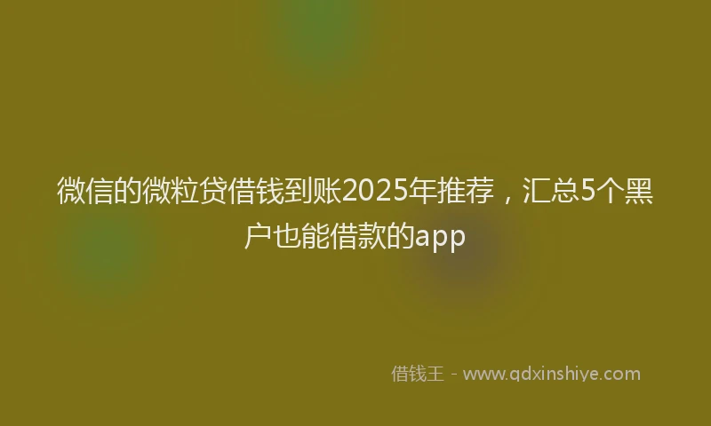 微信的微粒贷借钱到账2025年推荐，汇总5个黑户也能借款的app